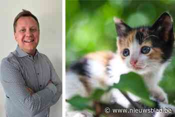 Overleden huisdieren meenemen in je graf? Hier kan het vanaf nu