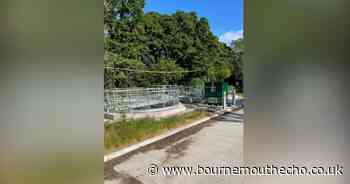 £2.5 million project to improve water quality in the New Forest complete