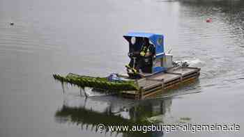 Wieder Algen aus dem Rothsee entfernt