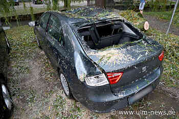 Unwetter im Alb-Donau-Kreis: Vollgelaufene Keller, umgestürzte Bäume, keine Verletzten