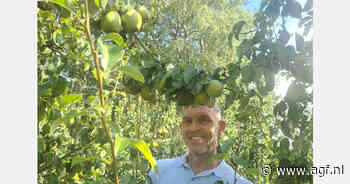 "Opvallend mooie prijzen op het hout voor zowel appelen als peren"