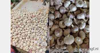 Verminderde vraag naar knoflook