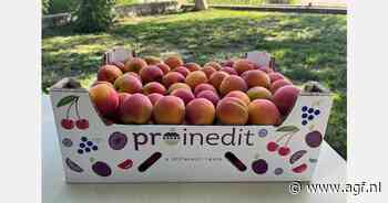 Moldavië vestigt record export abrikozen