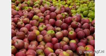 "Lage opbrengst en appels met deukjes door extreem weer"