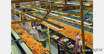 Spaanse Green Fruits en Coalmar tekenen samenwerkingsovereenkomst in citrussector