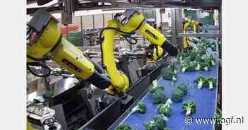 Spaanse broccoli-oogst houdt geen tred met vraag