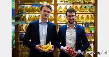 "We moesten begin juni pallets met bio-courgettes importeren uit Nederland"