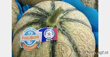 Te weinig meloenen voor de grote vraag in Frankrijk