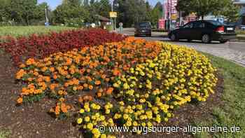 Haben Tagetes und Begonien am Echinger Kreisverkehr bald ausgeblüht?