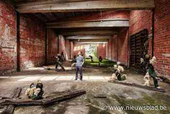 Ramsel Art Meeting palmt dorp in met hedendaagse kunst op vijf bijzondere locaties: “Vandalen veranderden het gebouw in een ruïne die de kunst extra kracht geeft”