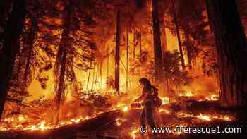 Firefighters gain 40% containment of massive Calif. wildfire
