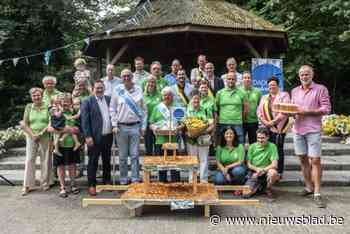 Dadizele beleeft jaarlijkse hoogdag met onder andere de terugkeer van Den Averechtsen