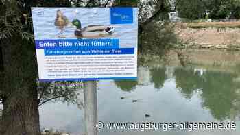 Zehn Jahre nach „realem Irrsinn“: