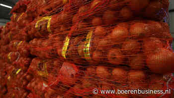 Een bovengemiddelde week voor de uienexport