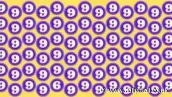 Only people with a high IQ can spot the number '6' in this brainteaser in 10 seconds
