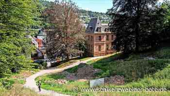 Work in Progress – oder nicht?: Im Stadtgarten stehen die Arbeiten still