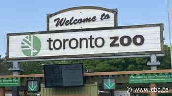 Toronto Zoo celebrates 50th anniversary
