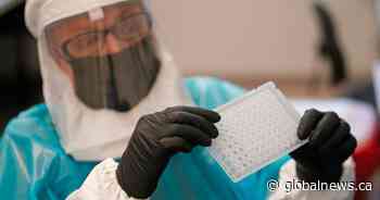 Mpox risk in Canada ‘remains low’ despite global health emergency: PHAC