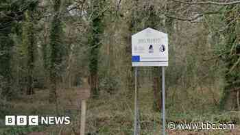 Murder arrest after body found in woods