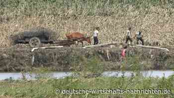 Erholung der chinesischen Wirtschaft bleibt wackelig