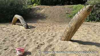 Braunschweig: Wenn ein Spielplatz Kinder traurig macht