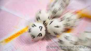 70 Prozent mehr Kunden: Jackpot bei ZEAL Network: Winken nach den starken Zahlen weitere Gewinne?