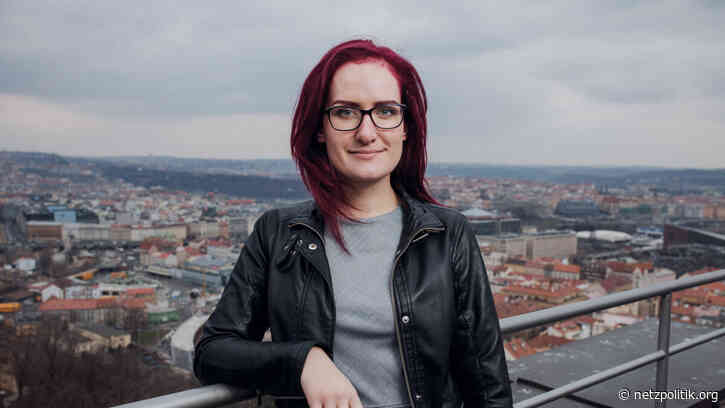 The EU Parliament’s last Pirate: „You can make a change even if you are low in numbers“