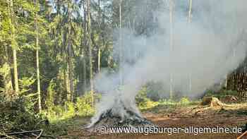 Pilot entdeckt Rauch im Wald bei Buch