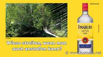 "Ich bin ein Star - Showdown der Dschungel-Legenden": Diese Marken ziehen ins Sommer-Dschungelcamp von RTL