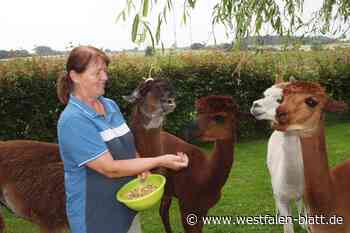 Mit Zirkus-Lama Spucky fing vor 15 Jahren alles an