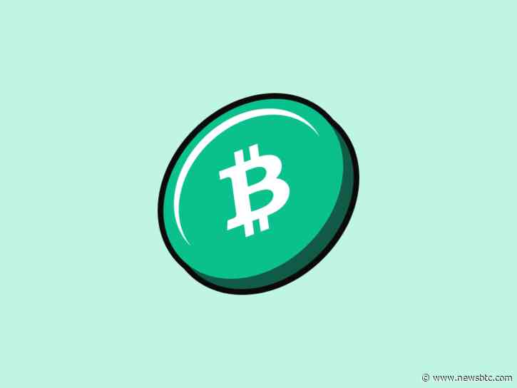 Bitcoin Cash (BCH): Analyst Pinpoints Prime Moment For Strategic Buy