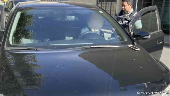 RCMP, CVSE in B.C. issue over $66,000 in fines against ride-hailing app drivers; 1/3 are repeat offenders