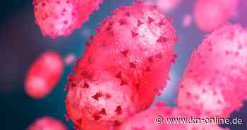 Mpox: Schweden meldet ersten Fall neuer Variante außerhalb Afrikas