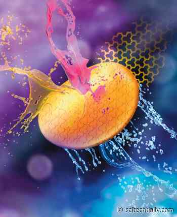 Scientists Create Membrane That Cleans Water at Record Speed