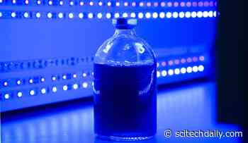 How a Simple Enzyme Might Revolutionize Clean Energy