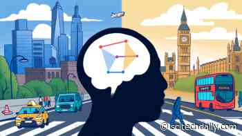 Scientists Capture Thought in Stunning New Detail