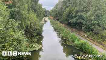 Sodium cyanide in canal 'could be gone in a week'