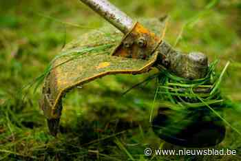 Meer dan tien kilometer aan straten krijgt maaibeurt, maar verwacht geen kort gras: “Dit is beter bij hitte en droogte”