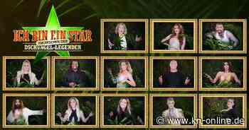 Dschungelcamp: Diese Luxusartikel gönnen sich die Sommerspecial-Kandidaten