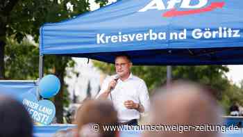 Wut und Wählerfrust? Das wahre Erfolgsrezept der AfD ist vielseitig