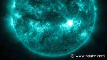 The sun might've just had a record-breaking number of visible sunspots