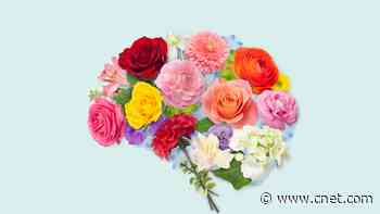 Beat Burnout With These 7 Simple Happiness Hacks