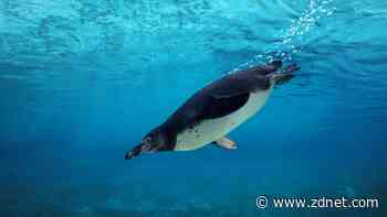 10 things I always do after installing Linux - and why you should too