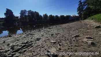 Wenig Wasser in der Donau: Pegel wird wegen Neubau Gänstorbrücke abgesenkt
