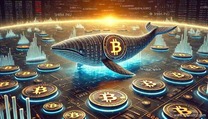 Prepare For Impact: Shiba Inu Whales Increase Their Holdings By 600% In A Single Day