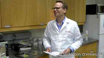 Soft plastic fishing lures may be leaching into waterways: Sask. study