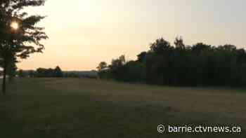 Barrie mayor uses Strong Mayor Powers for 1st time over controversial field