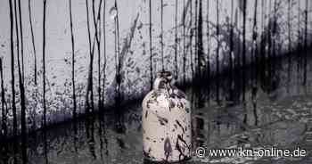 Berlin: Klimademonstrant beschmiert Kanzleramt – und erhält eine Geldstrafe