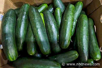 Recalled cucumbers linked to at least 449 illnesses have been pulled from stores, CDC says