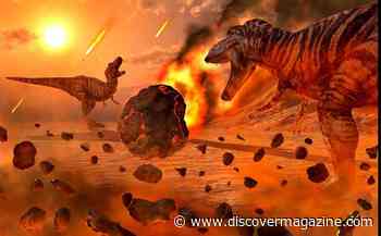 Here's How Dinosaurs Still Exist Today